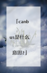 canbus是什么意思?