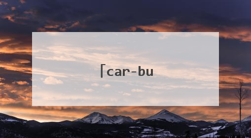 car-bus是什么?