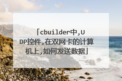 cbuilder中,UDP控件,在双网卡的计算机上,如何发送数据