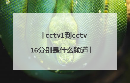 cctv1到cctv16分别是什么频道