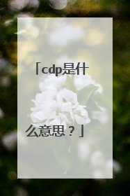 cdp是什么意思？