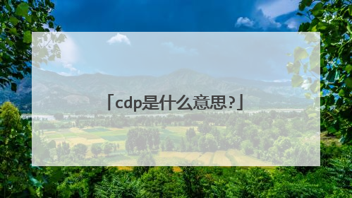 cdp是什么意思?