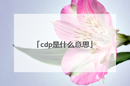 cdp是什么意思