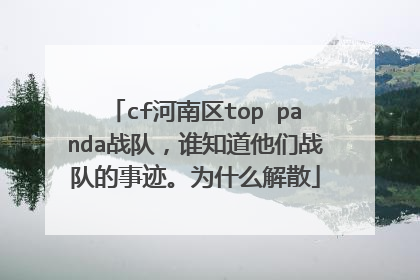 cf河南区top panda战队，谁知道他们战队的事迹。为什么解散