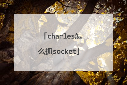 charles怎么抓socket