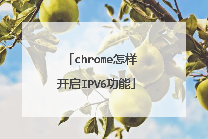 chrome怎样开启IPV6功能