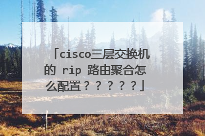 cisco三层交换机的 rip 路由聚合怎么配置？？？？？