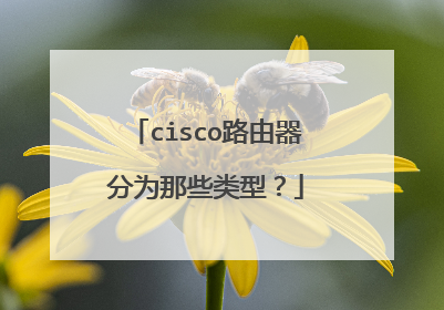 cisco路由器分为那些类型？