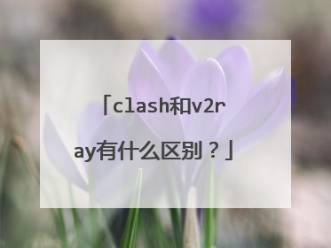 clash和v2ray有什么区别？