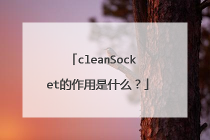 cleanSocket的作用是什么？
