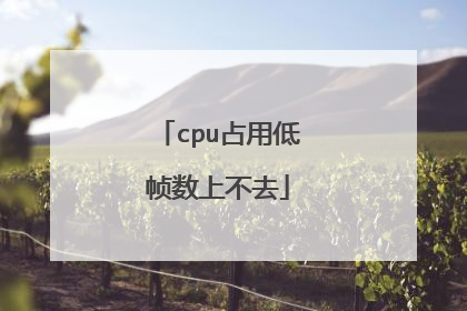 cpu占用低帧数上不去