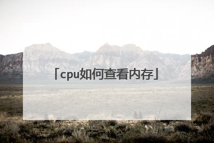 cpu如何查看内存