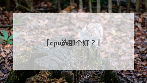cpu选那个好?