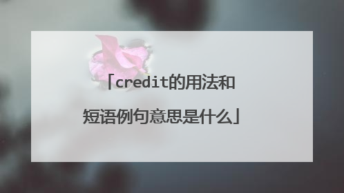 credit的用法和短语例句意思是什么