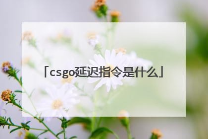 csgo延迟指令是什么