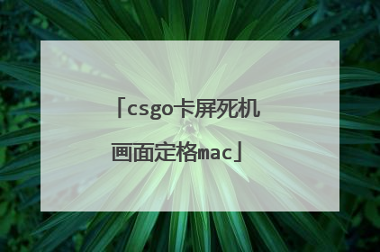 csgo卡屏死机画面定格mac