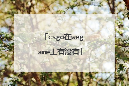 csgo在wegame上有没有