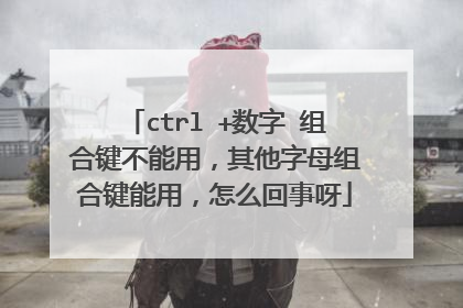 ctrl +数字 组合键不能用,其他字母组合键能用,怎么回事呀