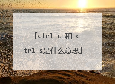 ctrl c 和 ctrl s是什么意思