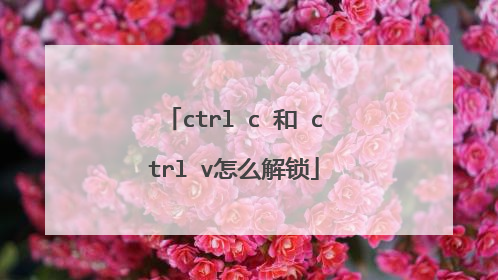 ctrl c 和 ctrl v怎么解锁