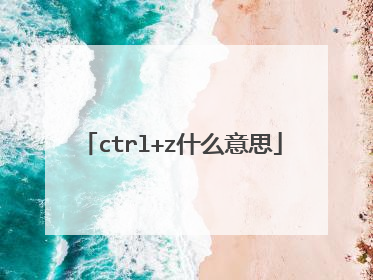 ctrl+z什么意思