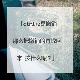 ctrl+z是撤销 那么把撤销的再找回来 按什么呢？