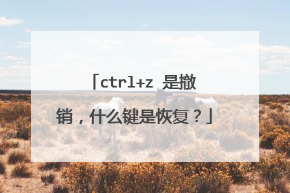 ctrl+z 是撤销，什么键是恢复？