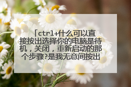 ctrl+什么可以直接按出选择你的电脑是待机，关闭，重新启动的那个步骤?是我无意间按出来的，然后又忘了。