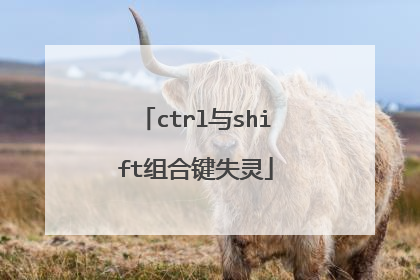 ctrl与shift组合键失灵