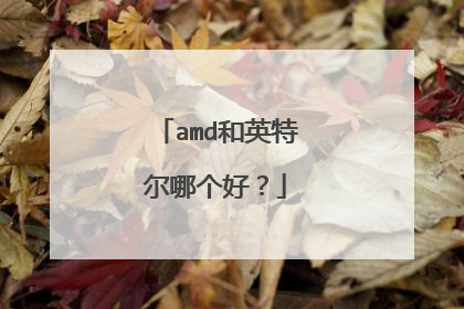amd和英特尔哪个好？