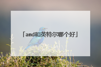 amd和英特尔哪个好