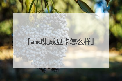 amd集成显卡怎么样