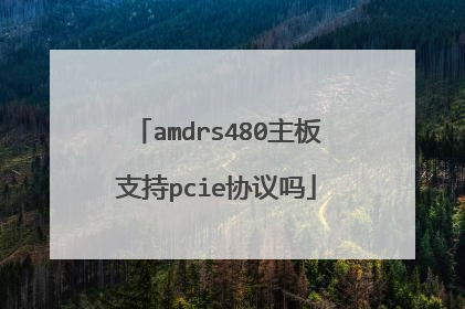 amdrs480主板支持pcie协议吗