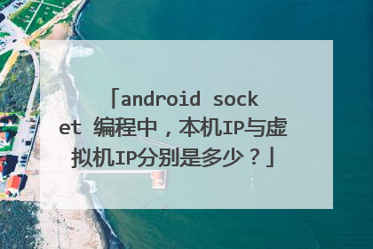 android socket 编程中，本机IP与虚拟机IP分别是多少？