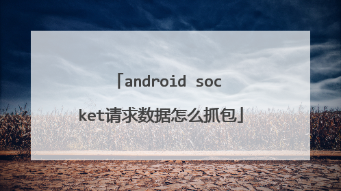 android socket请求数据怎么抓包
