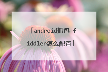 android抓包 fiddler怎么配置
