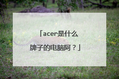 acer是什么牌子的电脑阿?