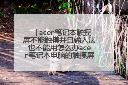 acer笔记本触摸屏不能触摸并且输入法也不能用怎么办acer笔记本电脑的触摸屏与输入法都不能用了怎么办在线等急!