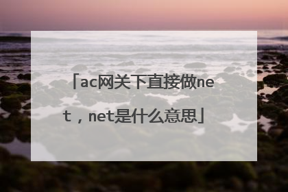 ac网关下直接做net,net是什么意思