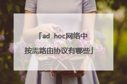 ad hoc网络中按需路由协议有哪些