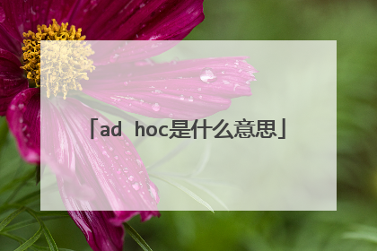 ad hoc是什么意思