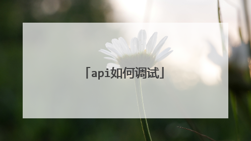 api如何调试