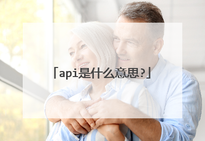 api是什么意思?