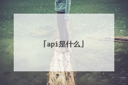 api是什么