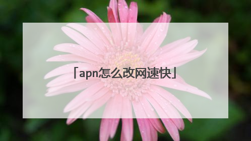 apn怎么改网速快