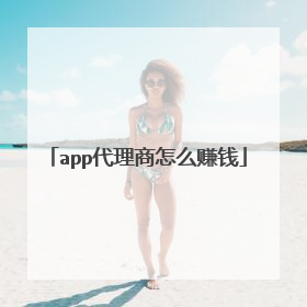app代理商怎么赚钱