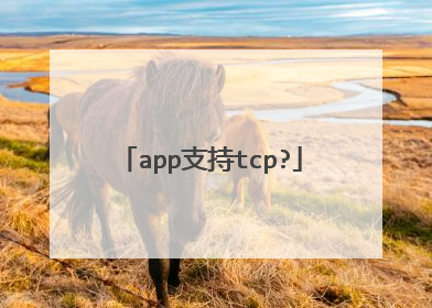 app支持tcp?