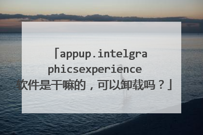 appup.intelgraphicsexperience软件是干嘛的，可以卸载吗？