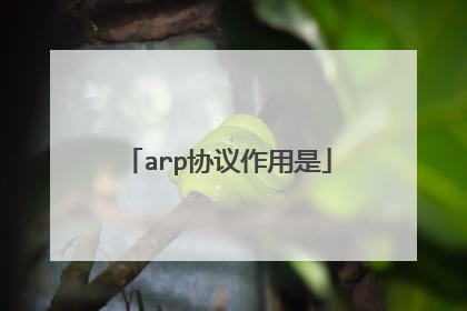 arp协议作用是