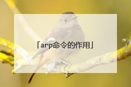 arp命令的作用